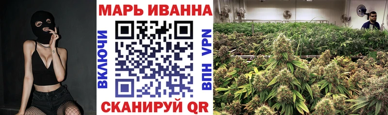 хочу   Сланцы  Канабис семена 
